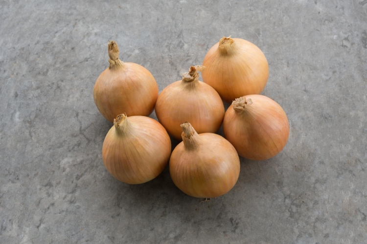 Cebula Hytech 10T Organic - Kliknij na obrazek aby go zamknąć